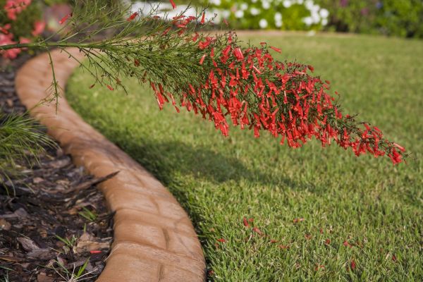 Brick Edging in Canton